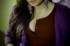 vidya