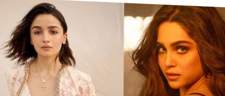 Alia Bhatt Starer Alpha Get New Release Date